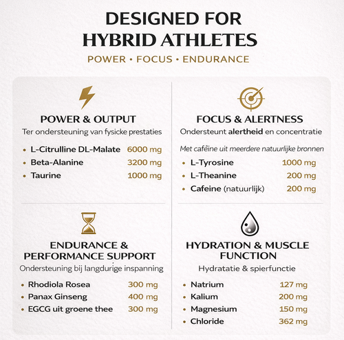 HYBRID+